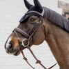 Plaited Flash Noseband Bridle with Pull back - Image 1