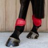 Young Horse Fetlock Boots Velvet - Image 5