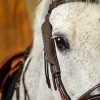 Blinkers - Image 4