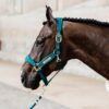 Lead Rope Basic - Image 2