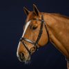 Flat Leather Bridle With Snap Hooks - Image 1