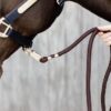 Lead Rope Panic Hook - Image 5