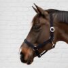 Nylon Halter - Image 2