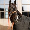 Plaited Nylon Horse Lead - Image 24