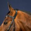 X-Fit Bridle - Image 5