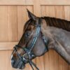 Round Leather Bridle - Image 3