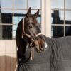 Plaited Nylon Horse Lead - Image 14