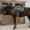Young Horse Fetlock Boots - Image 11