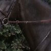 1/2" Rubber Reins - Image 1