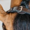 Plaited Training Bridle - Image 7