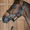 Plaited Halter - Image 6