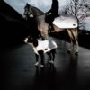 Dog Coat Reflective Water Repellent Belly Cover 150g - Image 2