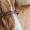 Training Halter - Image 1