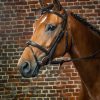 Flash Noseband Bridle - Image 4