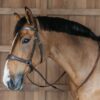 Working Motion Bridle - Image 2
