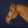 Hackamore Bridle - Image 1