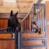 Relax Horse Toy Tableux - Image 4