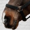 Nylon Halter - Image 6
