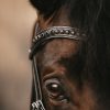 Black Swarovski V-Shaped Browband - Image 3