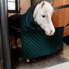 Stable Guard - Image 4