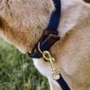 Plaited Nylon Dog Collar - Image 3