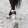 Brushing Boots Leather Hind Short - Image 6