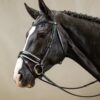 Patent Large Crank Noseband Bridle With White Padding And Flash - Image 1