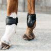 Young Horse Fetlock Boots - Image 4