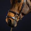 Double Noseband Bridle - Image 2