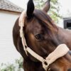 Teddy Fleece Halter - Image 3
