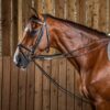 Full Leather Draw Reins 1/2" - Image 1