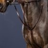 Running Martingale - Image 3