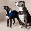 Dog Coat Original - Image 17