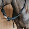 Training Lead with removable snap - Image 2