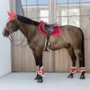 Vegan Sheepskin Young Horse Fetlock Boots Velvet - Image 3
