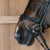Plaited Flash Noseband Bridle - Image 6