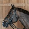 Working Motion Bridle - Image 17