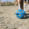 Relax Horse Play & Hay Ball - Image 15