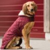 Dog Coat Original - Image 5