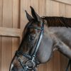 Training Bridle - Image 7