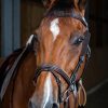 Blinkers - Image 3