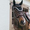 Fly Veil Wellington Plaited Cord - Image 21