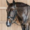 Working Motion Bridle - Image 14