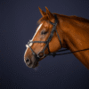 Figure 8 Noseband Bridle - Image 3