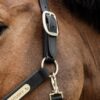 Nylon Anatomic Halter - Image 12