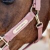 Teddy Fleece Halter - Image 7