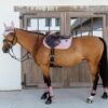 Young Horse Fetlock Boots Velvet - Image 22