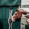 Stable Curtain Waterproof - Image 11
