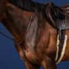 Standing Martingale - Image 2