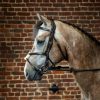 Figure 8 Noseband Bridle - Image 3